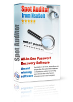 SpotAuditor-Internet Explorer, Outlook and MSN messenger password recovery