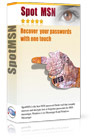 SpotMSN Password Recover - MSN messenger password recovery